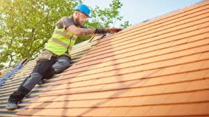 Best Roof Insulation Installation  in Milford, NE